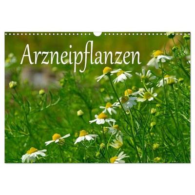 Arzneipflanzen (Wandkalender 2027 DIN A3 quer), CALVENDO Monatskalender