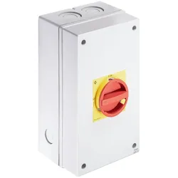 Kraus&amp;Naimer Schalter KG41B T206/33 KL71V