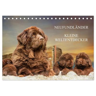 Neufundländer - Kleine Weltentdecker (Tischkalender 2027 DIN A5 quer), CALVENDO Monatskalender