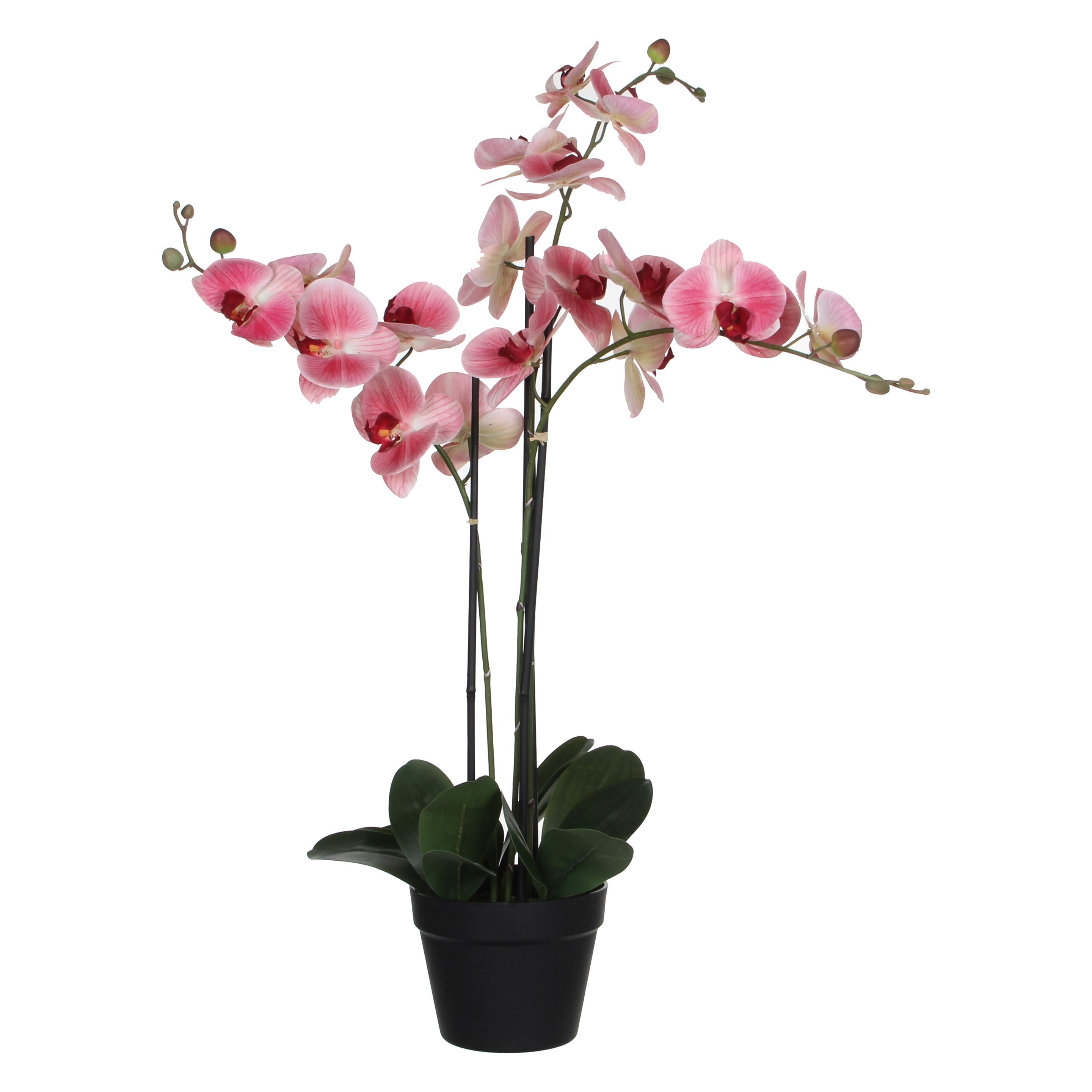 Mica Decorations Phalaenopsis Kunstpflanze - L75 x B51 x H79 cm - Rosé (79 cm) (1040409)