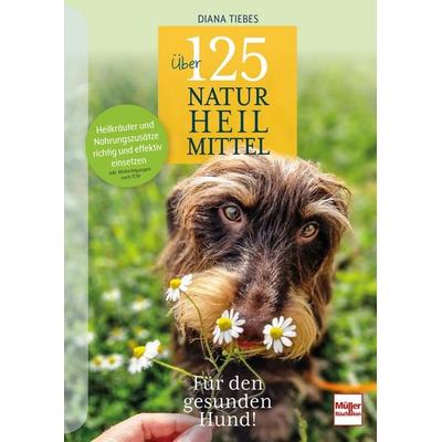 Über 125 Naturheilmittel für den gesunden Hund!, Taschenbuch von Diana Tiebes, Müller Rüschlikon, 978-3-275-02307-3