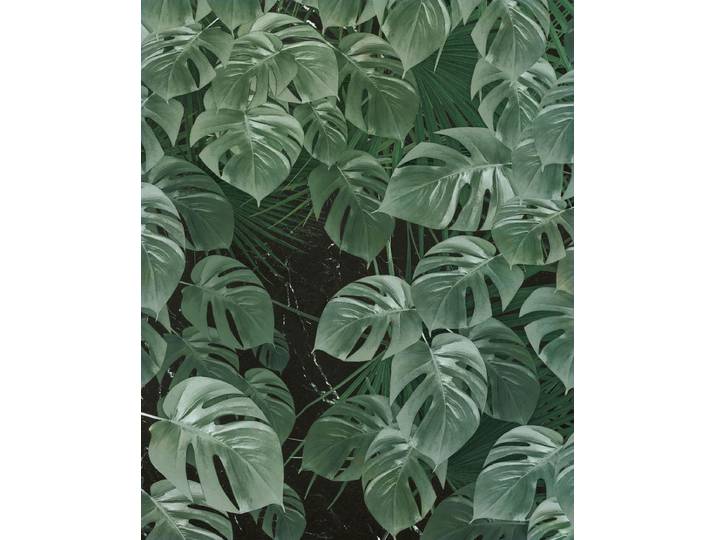 Komar Pure monstera bladeren fotobehang op vlies 200x250cm