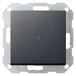 Gira Tast-Kontroll AusWe gerade System 55 012428, Schalter + Taster, Grau