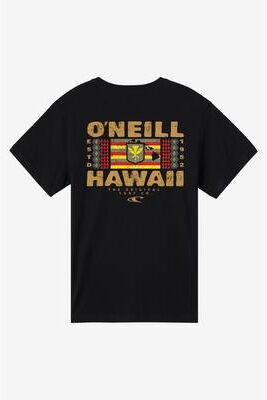 O'Neill s Stacker Hawaii Classic T-Shirt in Black, Size Small