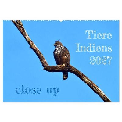 Tiere Indiens close up (Wandkalender 2027 DIN A2 quer), CALVENDO Monatskalender