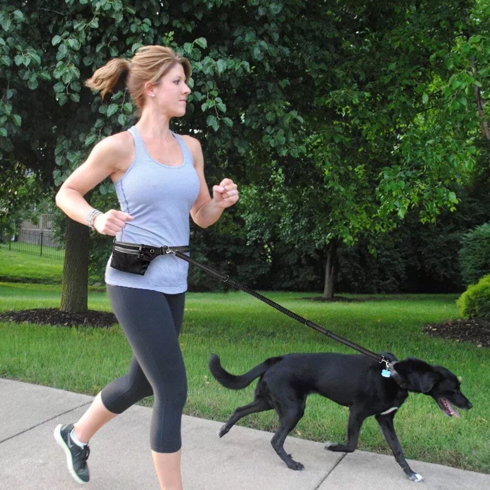 INF Laisse mains libres pour chien avec sac banane