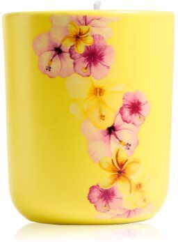 ípuro Travel The World Hawaii vela perfumada com tampa 270 g. Travel The World Hawaii