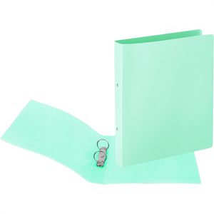 TipTop-Office Ringbuch TTO 409678, A4, 2 Ringe, Ring-Ø 30mm, pastellgrün