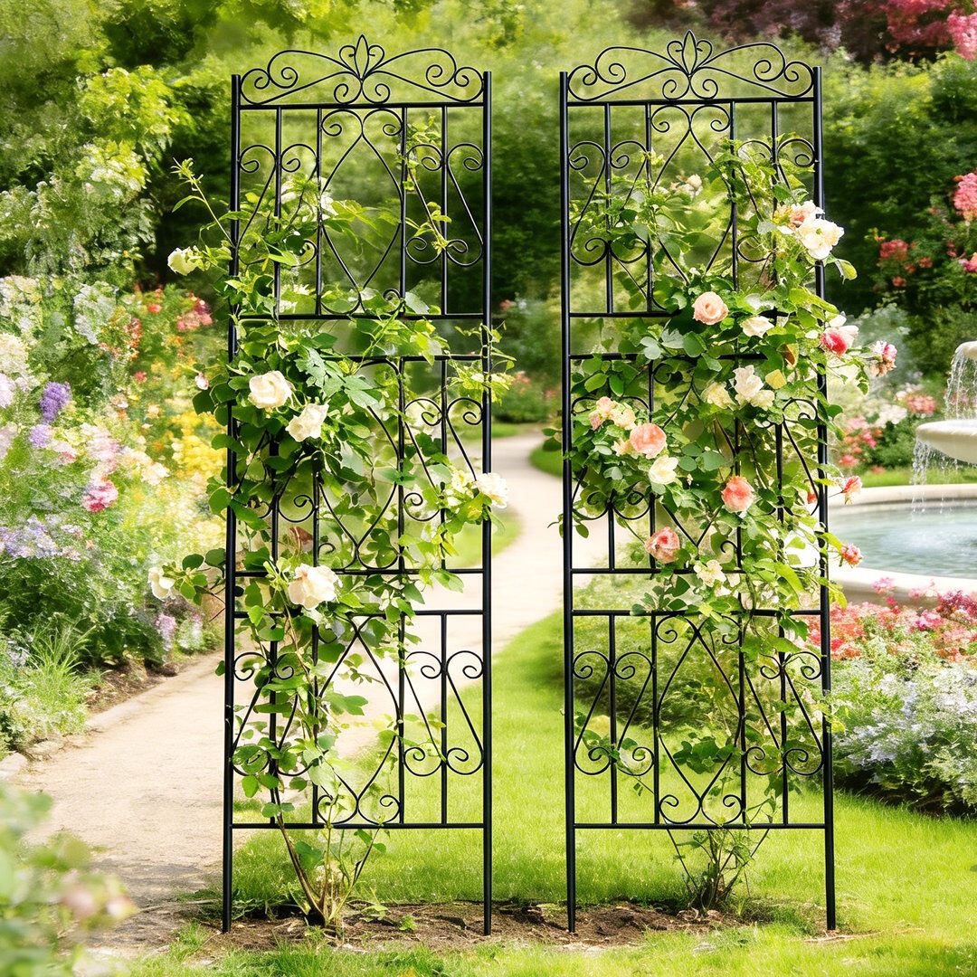 ClassicLiving Otmar 182cm H x 2cm W Metal Fan Trellis Black 182cm H X 2cm W X 50cm D