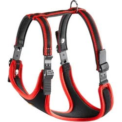 Ferplast Ergocomfort P belts L red (L, Hund, Spazieren), Halsband + Leine
