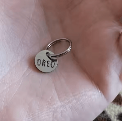 Inspire Curations TinyGuard Personalized Mini Pet ID Tag silver