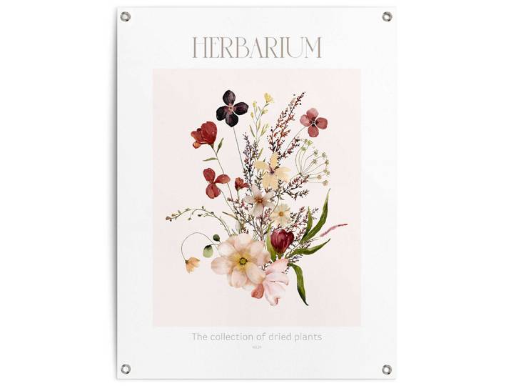 Poster REINDERS Herbarium , bunt (farbe bild(er): mehrfarbig), B:60cm H:80cm T:0,1cm, Bilder, Poster, Garten - Mehrfarbig - Leinwand - Blumen und Pflanzen - 60x80 cm