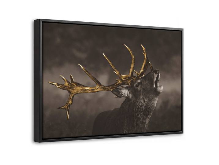 LEINWAND Bilder mit Rahmen - Rotwild - Schwarz - Gold - 30x20