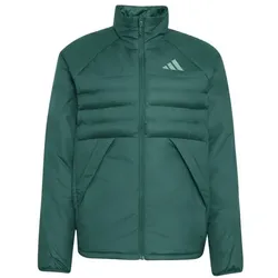 adidas Terrex Multi Synthetic Insulated Winterjacke Herren - cgre