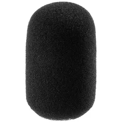  WS-100SW 
