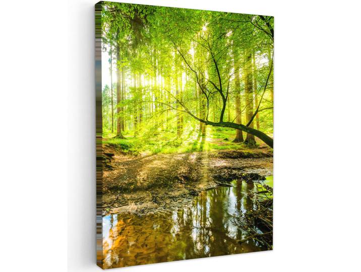 MuchoWow Leinwandbild - Wald - Landschaft - Wasser - Bäume - Sonne - Grün - Natur - 60x80 - Gemälde, Textil, Kiefer, Abstrakt, Rechteckig, 60x80 cm, gerahmt, Bilder & Rahmen, Bilder, Wandbilder