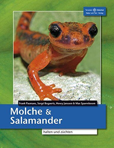 Frank Pasmans - Molche und Salamander: halten und züchten - Preis vom 16.10.2026 11:41:07 h