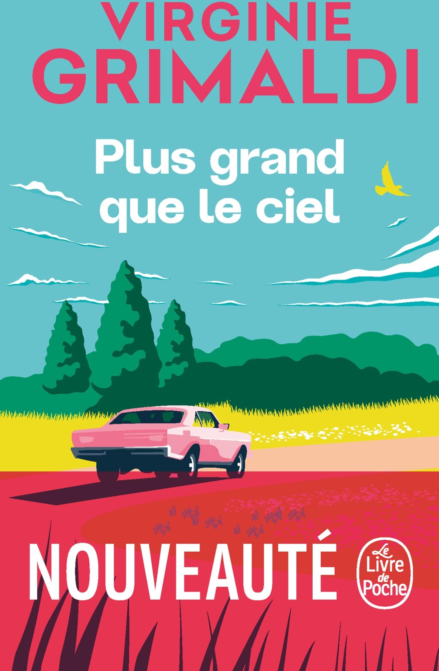 Virginie Grimaldi - Plus grand que le ciel - Preis vom 12.10.2026 11:37:12 h