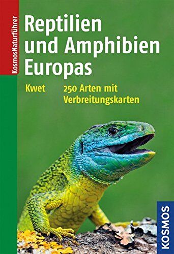 Axel Kwet - Reptilien und Amphibien Europas - Preis vom 09.10.2026 07:28:09 h