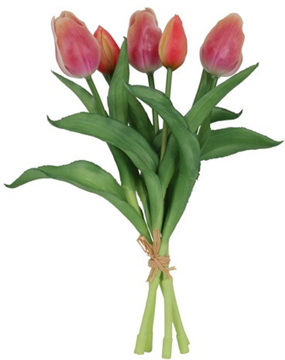 Countryfield Kunstboeket Tulpen - 5 Stuks - Zalm en Creme - 3D Geprint