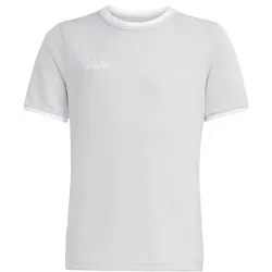 adidas Entrada 26 Trikot Kinder - team light grey/white - 128