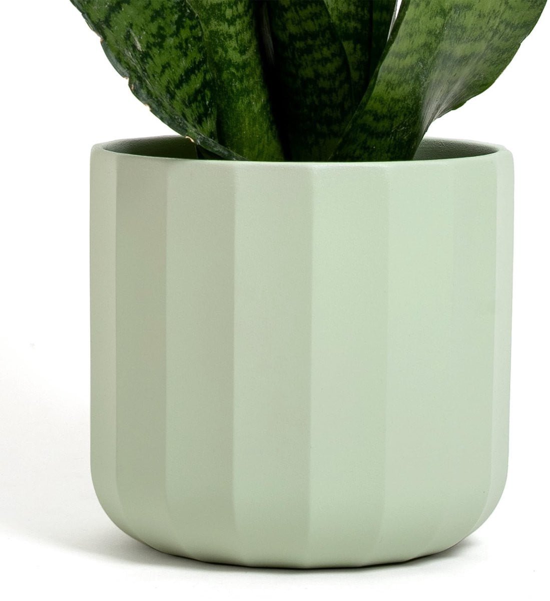 Elzusha Elegante Terracotta Pot voor Planten en Bloemen