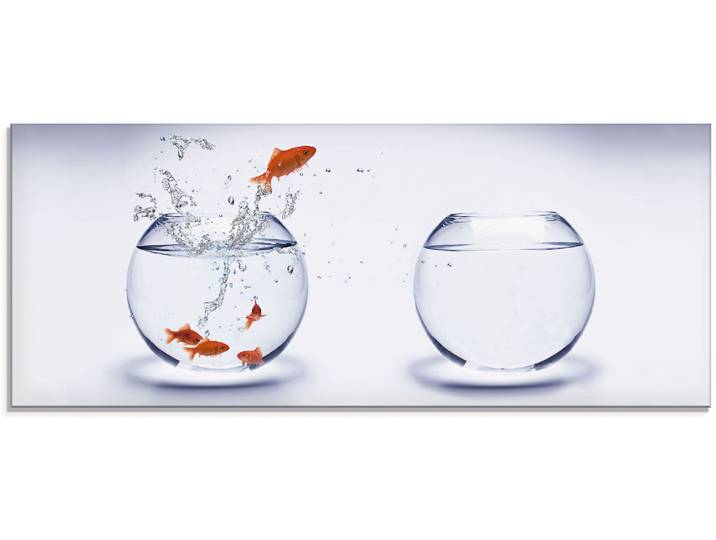 Glasbild ARTLAND Goldfischaquarium , weiss (farbe bild(er): weiß), B:125cm H:50cm, Bilder, Glasbild, in verschiedenen Grössen