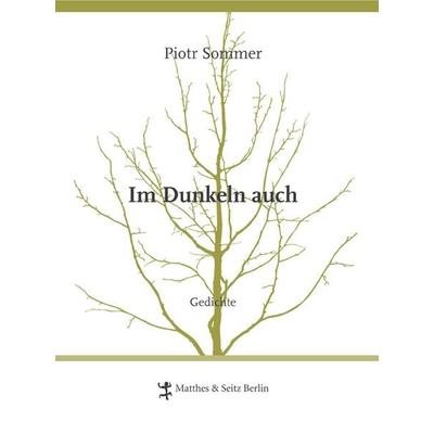 Im Dunkeln auch, Gebundene Ausgabe von Piotr Sommer, Matthes & Seitz, 978-3-88221-692-9