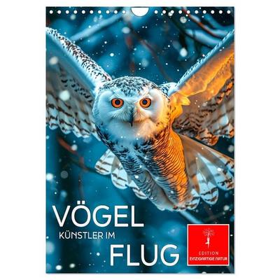 Vögel - Künstler im Flug (Wandkalender 2027 DIN A4 hoch), CALVENDO Monatskalender