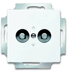 Busch-Jaeger, Zubehör Schalterprogramm, Unterputz-Potenzial-Ausgleichsstecker 2- 2CKA002495A0086