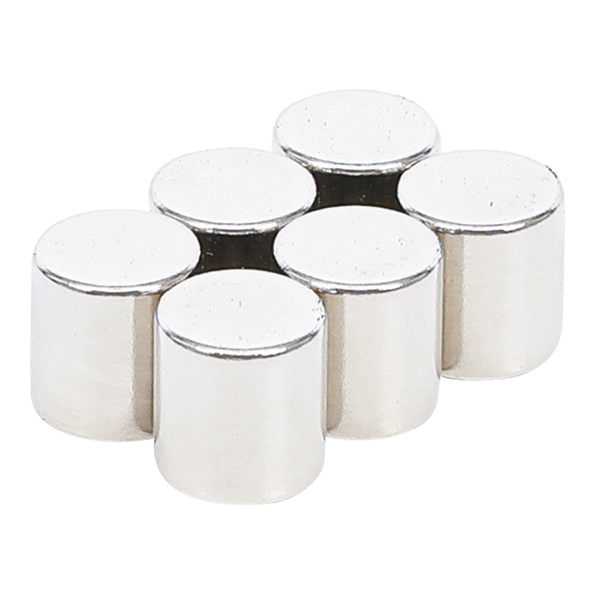BGS Do it yourself Magnet-Satz 79919, extra stark, Ø 9,5 mm, 6-tlg.)