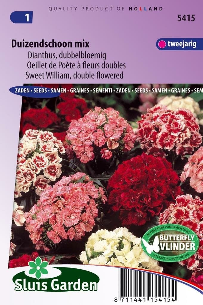 Sluis Garden Dianthus Barbatus zaden Duizendschoon dubbel