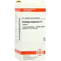 Solidago Virga D 2 80 ST