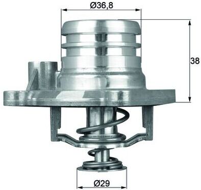 Mahle Thermostat, Kühlmittel Ti 13 92 Für Opel Vaughall Gm