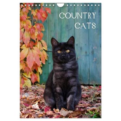 COUNTRY CATS (Wandkalender 2027 DIN A4 hoch), CALVENDO Monatskalender