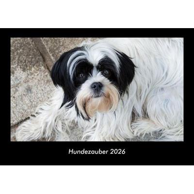 Hundezauber 2026 Fotokalender DIN A3