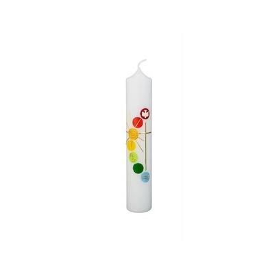 Wiedemann Kerzen Taufkerze verziert 265 x 50 mm, mit individueller Namensverzierung
