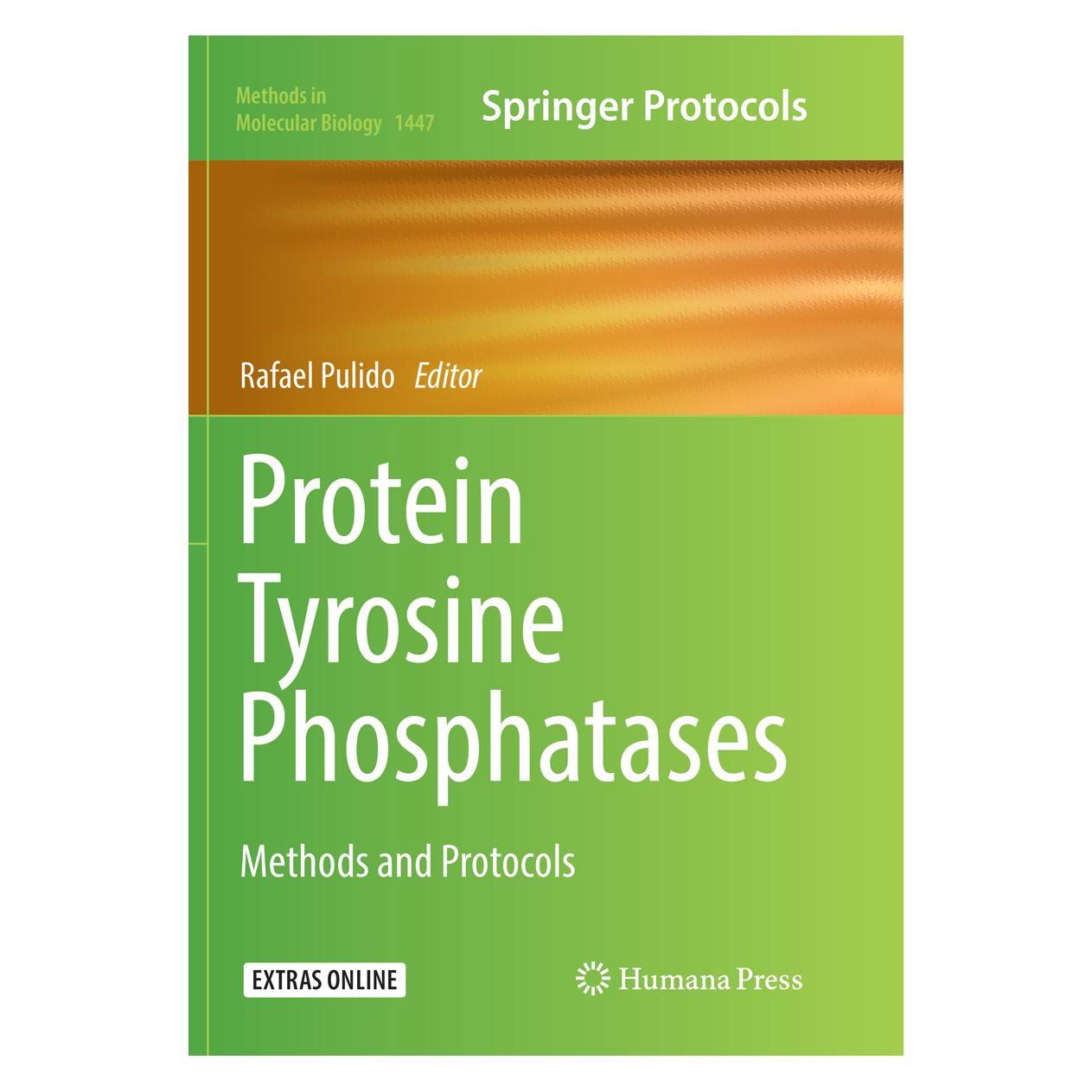 Springer Protein Tyrosine Phosphatases (Englisch, Softcover, Rafael Pulido) (56007792)
