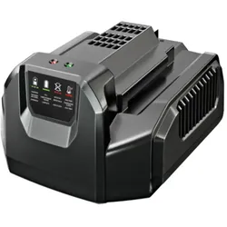 EGO CH2100E Standard-Ladegerät