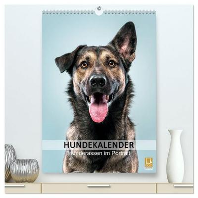 Hundekalender - Hunderassen im Portrait (hochwertiger Premium Wandkalender 2027 DIN A2 hoch), Kunstdruck in Hochglanz