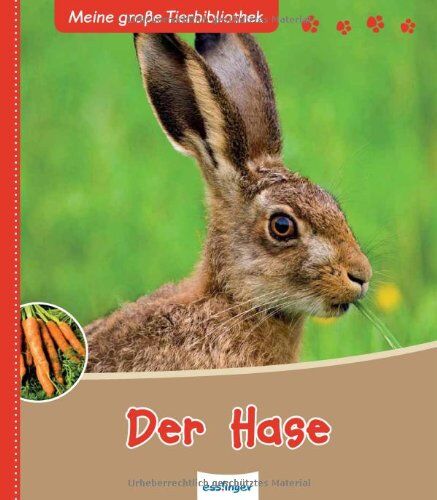 Poschadel, Dr. Jens - Der Hase - Preis vom 15.10.2026 23:06:25 h