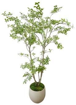 Creative Labs Bonsai Tree in Fiberstone Planter