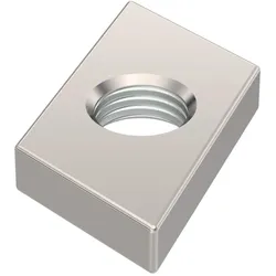 OBO 1147084 Gleitmutter für Profilschienen Mittel M10 Edelstahl, rostfrei blank, nachbehandelt ACMSN M10 A4  - 100 Stück