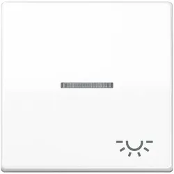 Jung Wippe 1fach SPAS 591 KO5L WW