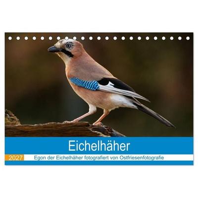 Eichelhäher - Egon der Eichelhäher fotografiert von Ostfriesenfotografie (Tischkalender 2027 DIN A5 quer), CALVENDO Monatskalender