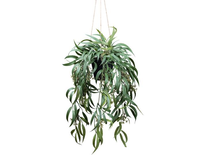 Kunstpflanze CREATIV GREEN Eukalyptus Globolus , grün, H:65cm, Kunstpflanzen, Kunstpflanze, mit Fruchtblüten
