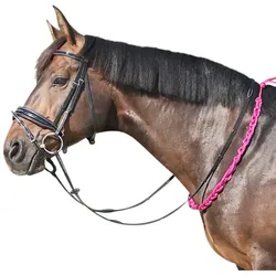 EQuest Beginner Balance Zügel, pink - 140 cm - hilft dem Pferd, das Gleichgewicht zu verbessern