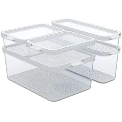 Rotho Kühlschrankorganizer-Set  Cauma ¦ transparent/klar ¦ Kunststoff ¦ Maße (cm): B: 29,2 H: 28,4 T: 17.0