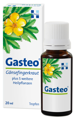 Cesra Arzneimittel GmbH & Co.KG GASTEO Flüssigkeit zum Einnehmen 20 ml 10738439