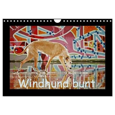 Windhund bunt (Wandkalender 2026 DIN A4 quer), CALVENDO Monatskalender